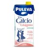 Puleva Vita Calcium Skimmed Dairy Drink with Collagen