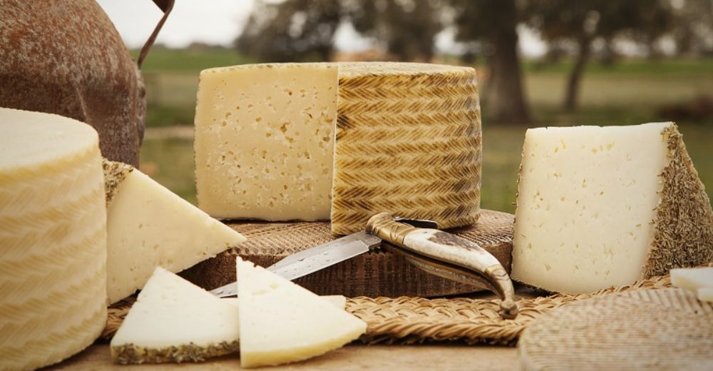Manchego cheese
